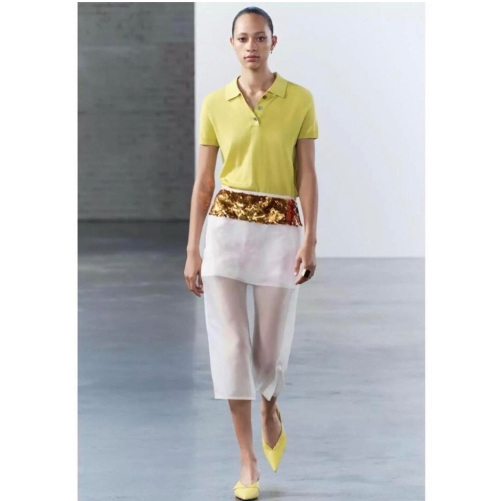 Zara Collection Sequin Embellished Sheer Skirt - Gold And White